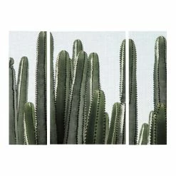 World Market Desert Detail Triptych Canvas Wall Art 3 Piece