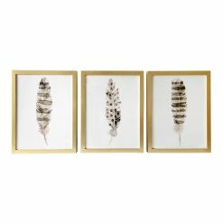 World Market Neutral Feathers Framed Wall Art 3 Piece