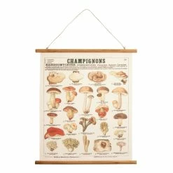World Market Champignon Fabric Scroll Wall Hanging